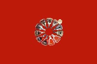 哈尔滨市宾市回收红酒